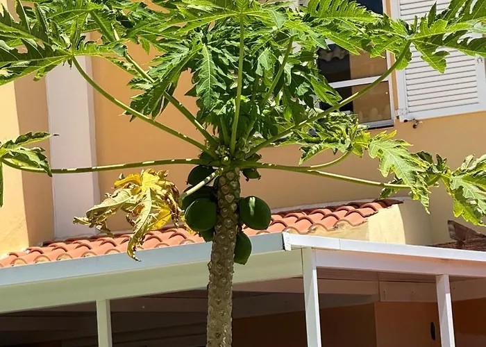 Apartament Americas Camison With Pool And Patio 10 By Tenerife365 Playa de las Americas (Tenerife)